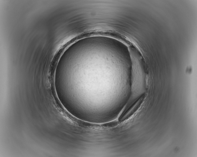 X0000093471018200710261038