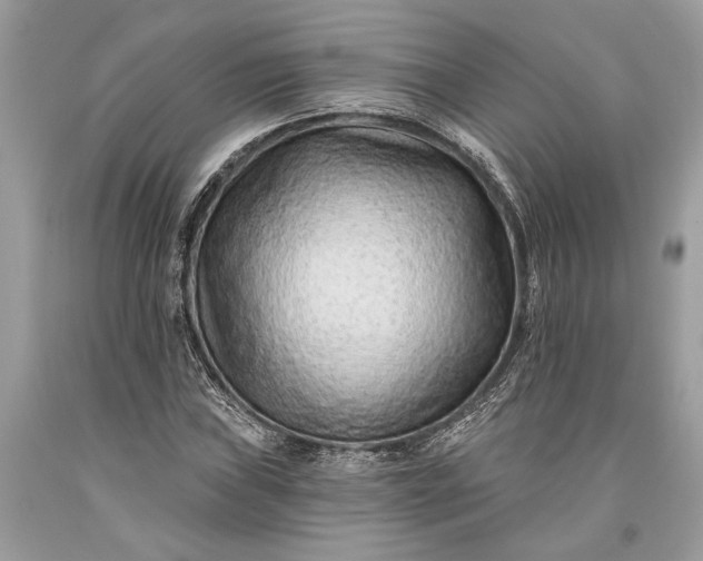 X0000093471019200710261038