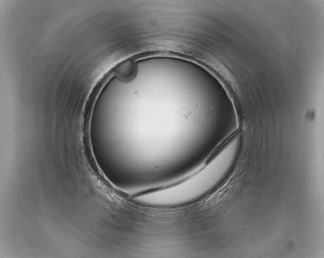 X0000093471020200710261038