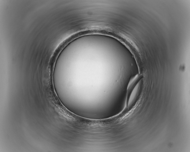 X0000093471021200710261038