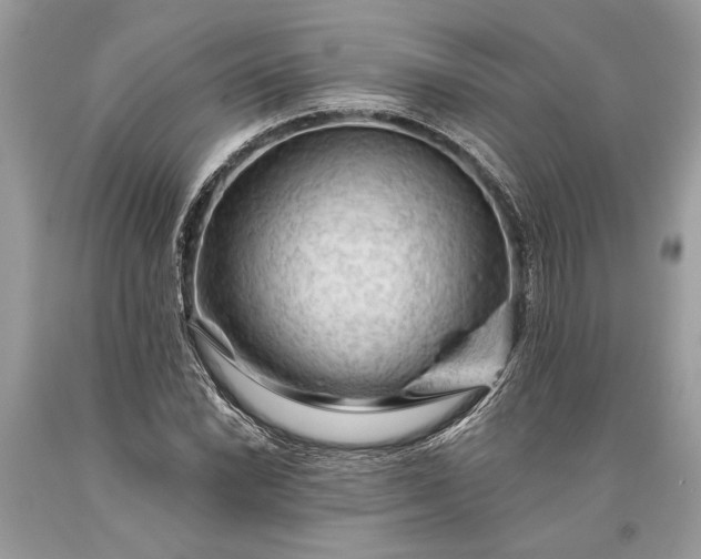 X0000093471022200710261038