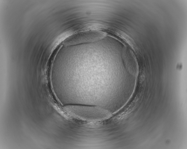 X0000093471026200710261038