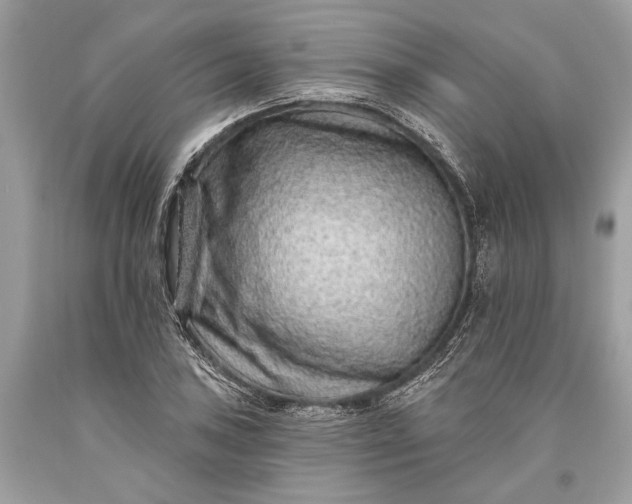 X0000093471027200710261038