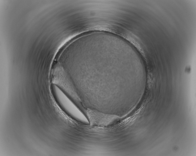 X0000093471028200710261038