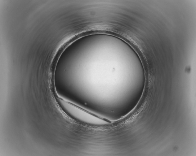 X0000093471029200710261038