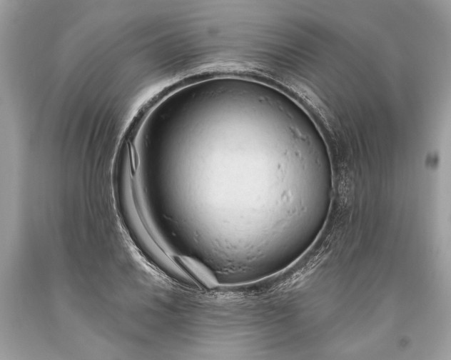 X0000093471030200710261038