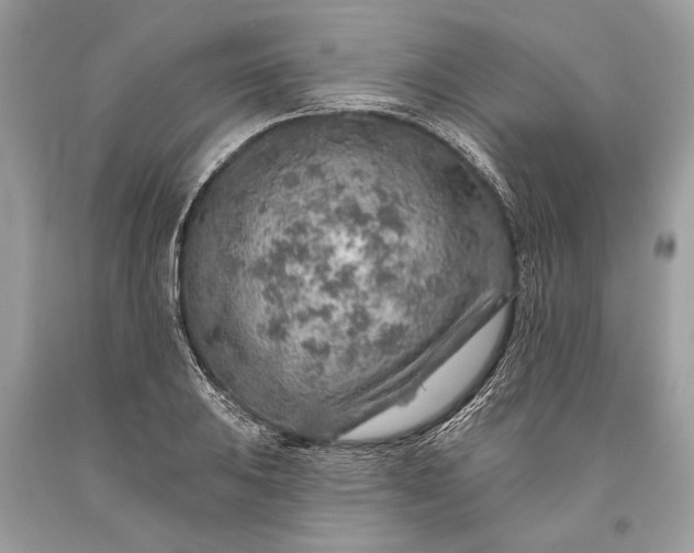 X0000093471031200710261038