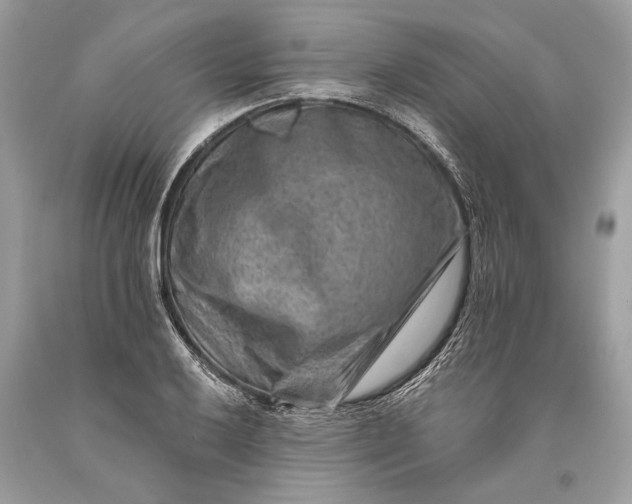 X0000093471032200710261038