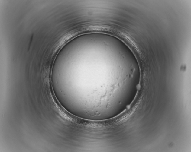 X0000093471033200710261038