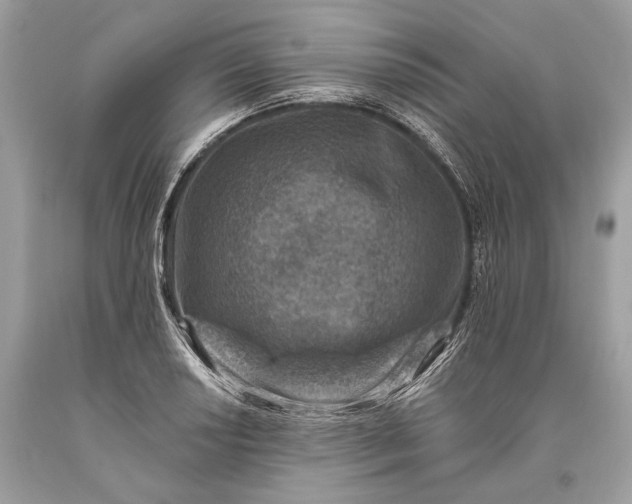 X0000093471034200710261038