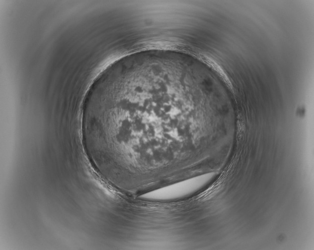 X0000093471035200710261038