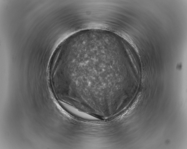 X0000093471037200710261038