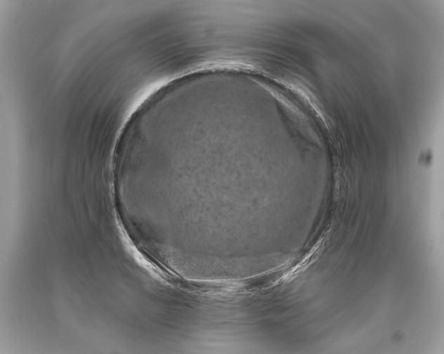 X0000093471038200710261038