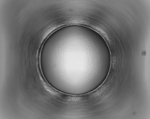 X0000093471039200710261038