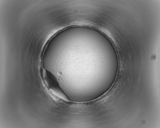 X0000093471040200710261038