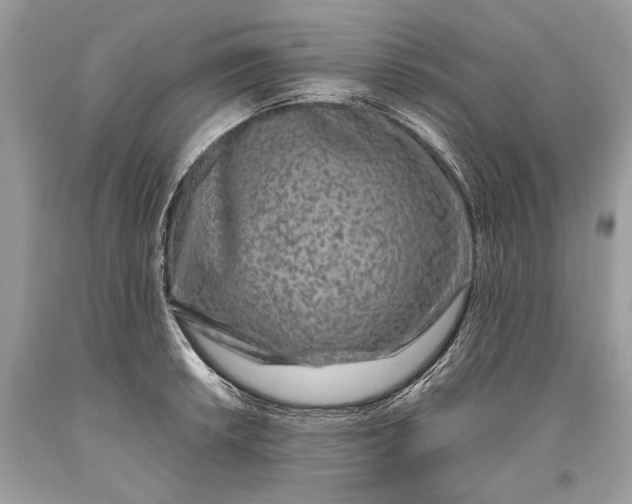 X0000093471042200710261038