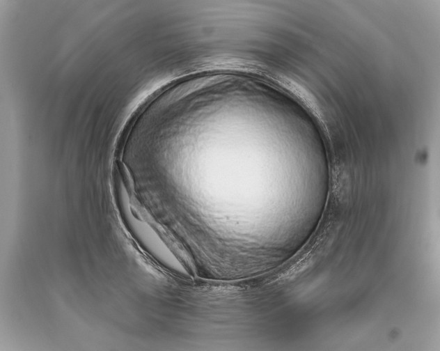 X0000093471043200710261038