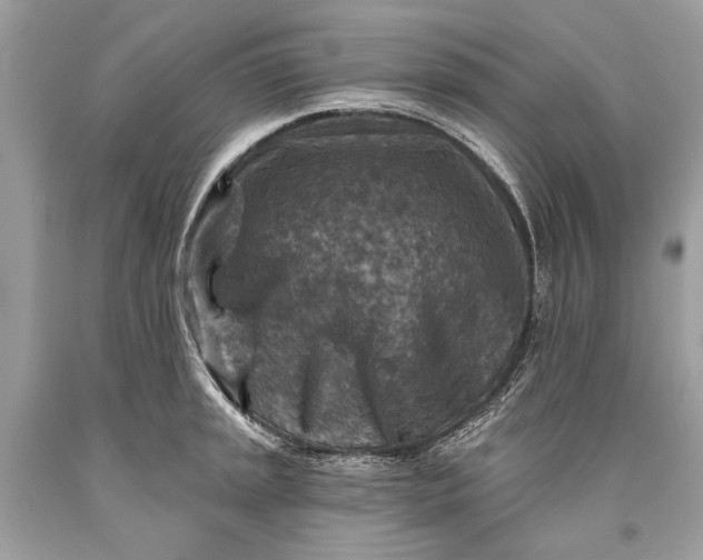 X0000093471045200710261038