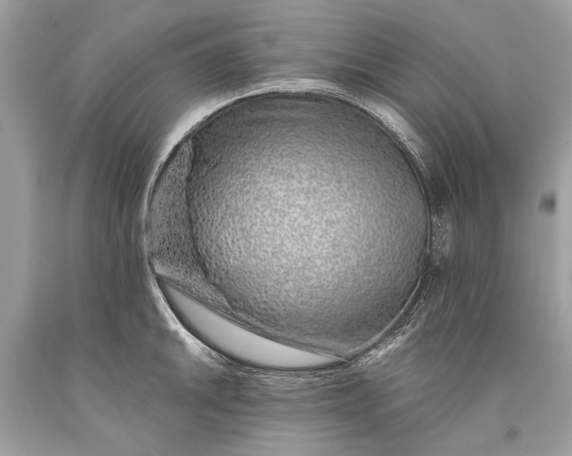 X0000093471046200710261038