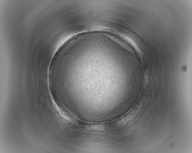 X0000093471047200710261038