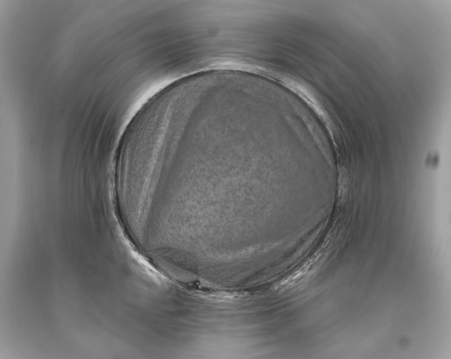 X0000093471048200710261038