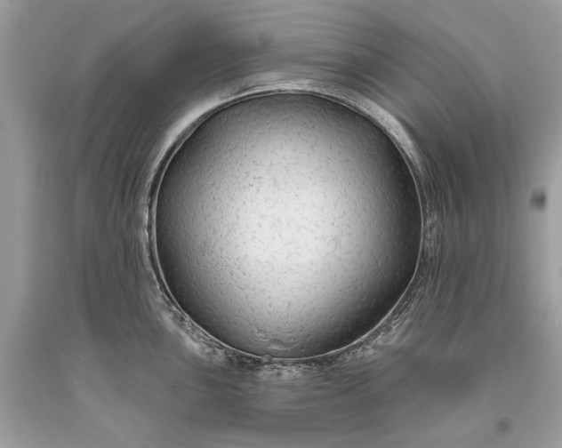 X0000093471051200710261038