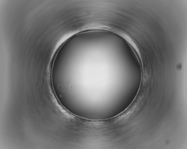 X0000093471053200710261038