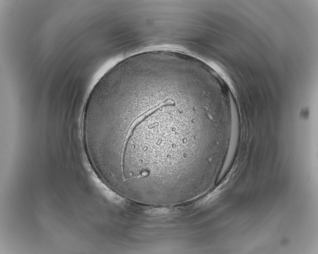 X0000093471054200710261038