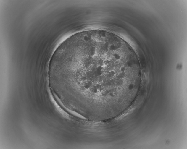 X0000093471055200710261038