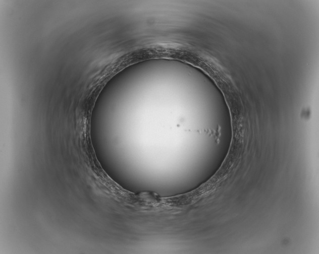 X0000093471061200710261038