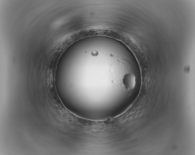 X0000093471062200710261038