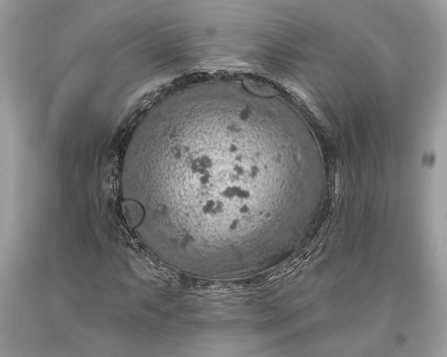 X0000093471063200710261038