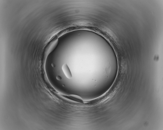 X0000093471065200710261038