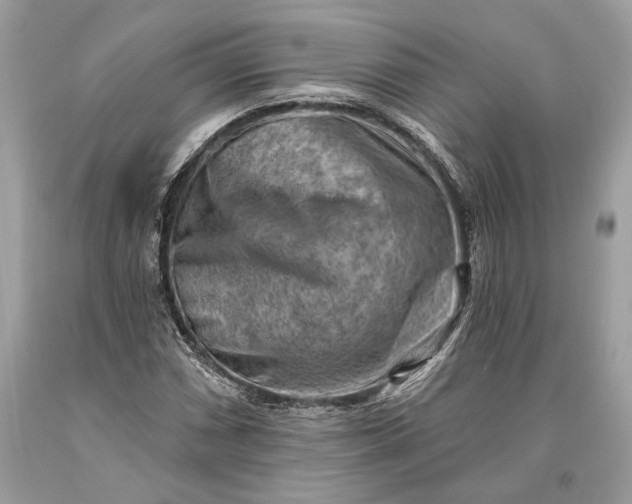 X0000093471066200710261038