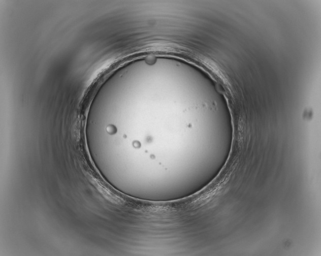 X0000093471067200710261038