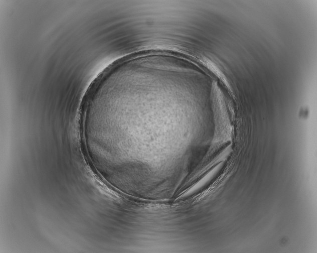 X0000093471068200710261038