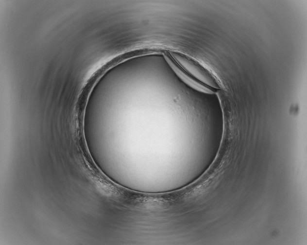 X0000093471070200710261038