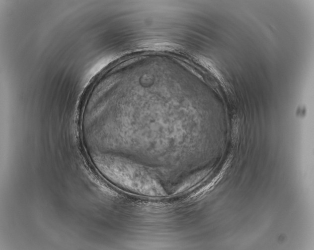 X0000093471071200710261038