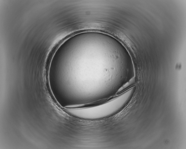 X0000093471072200710261038