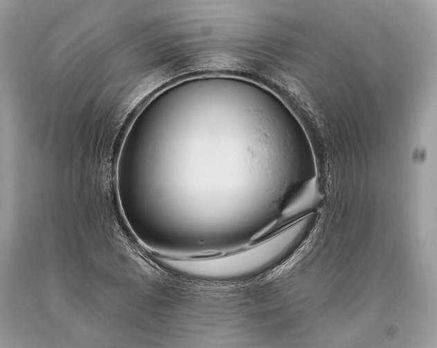 X0000093471073200710261038