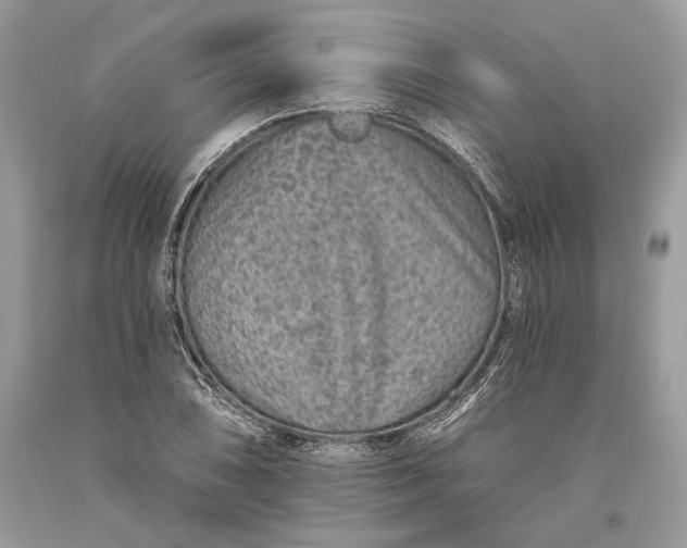 X0000093471074200710261038