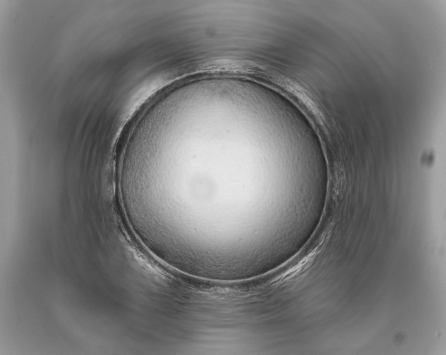 X0000093471075200710261038