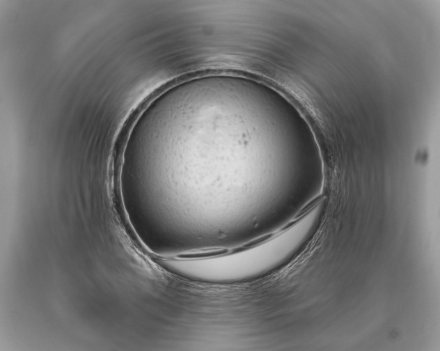 X0000093471076200710261038