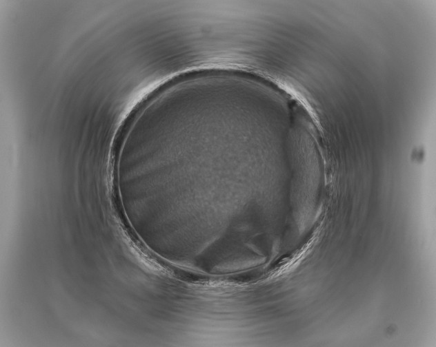 X0000093471077200710261038