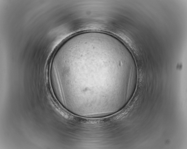 X0000093471078200710261037