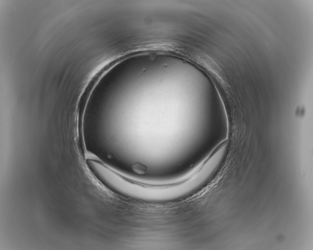 X0000093471079200710261037