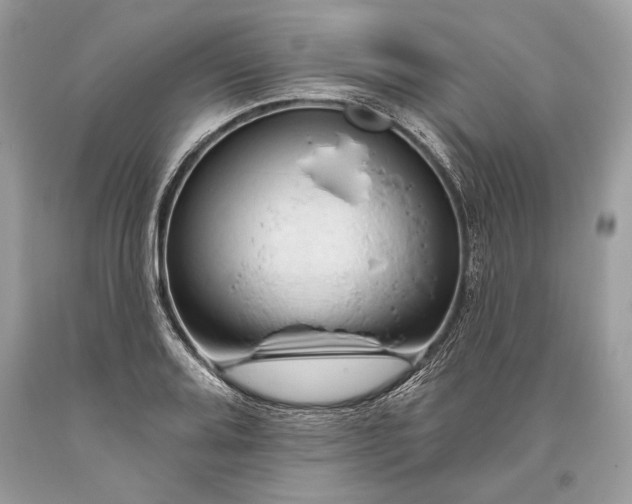 X0000093471080200710261037