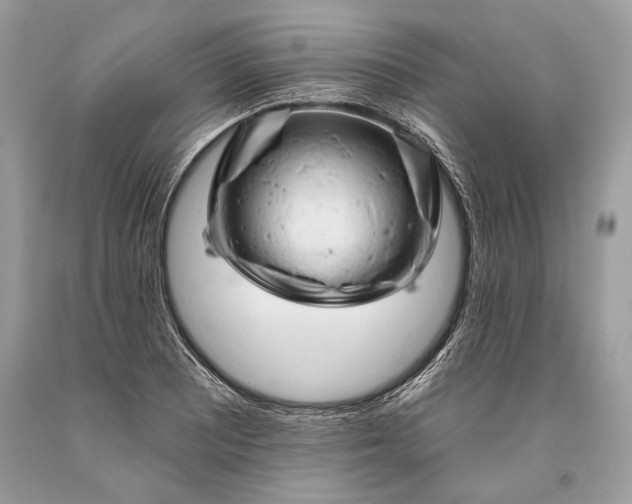 X0000093471081200710261037