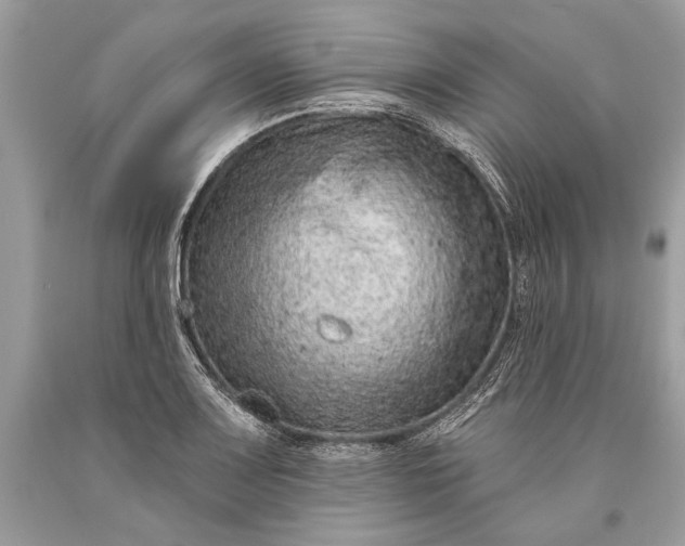 X0000093471083200710261037