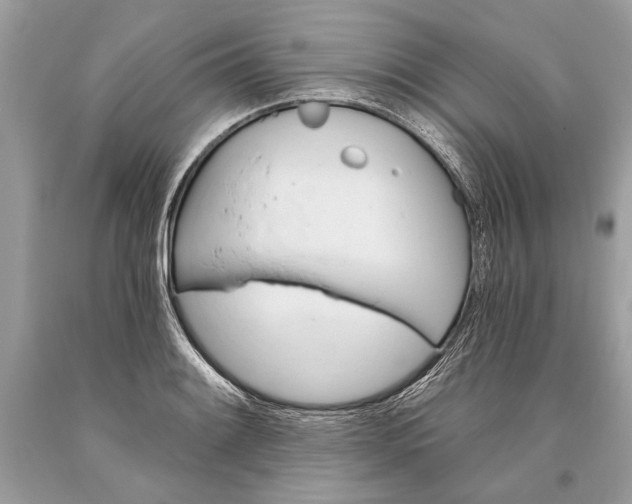 X0000093471084200710261037